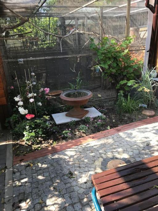 Unser Studio-Apartment "Wohlfuehloase" โอราเนียนบวร์ก ภายนอก รูปภาพ